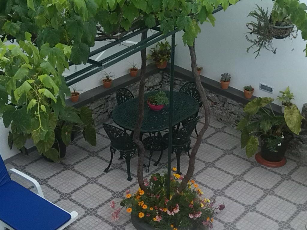 Maravilhas House Funchal (Madeira)