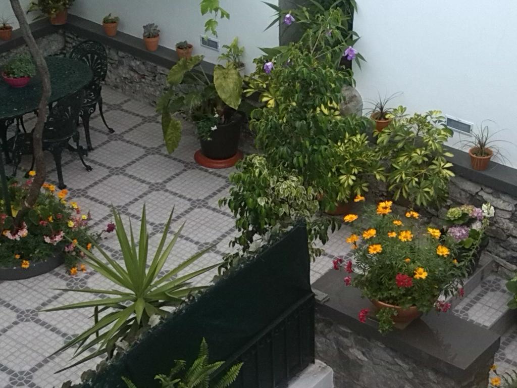 Maravilhas House Feriehus Funchal (Madeira)